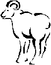 Aries
