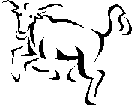 Taurus
