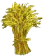 grain