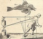 image:  man with scary-looking fish